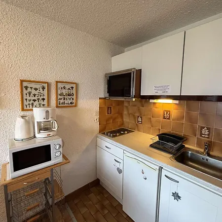 A 250m Des Pistes - 4 Couchages - Fr-1-297-347 Lejlighed *
